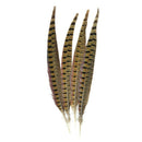 Touch of Nature Ringneck Pheasant Feathers 4/Pcs, Natural Y4J2