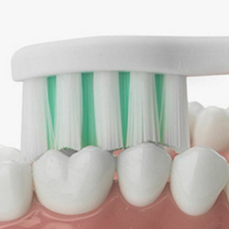 SmartSonic+ Sonic vibration electric toothbrush head, Electric toothbrush r K1Z2