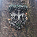 Old Man Tree Face Leaf Plaque Garden Yard Tree Ornament Sculpture Decoration