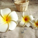 3 Pcs Hawaiian Plumeria Flower Headpiece Hairpin Barrette Hair Clip Accesso