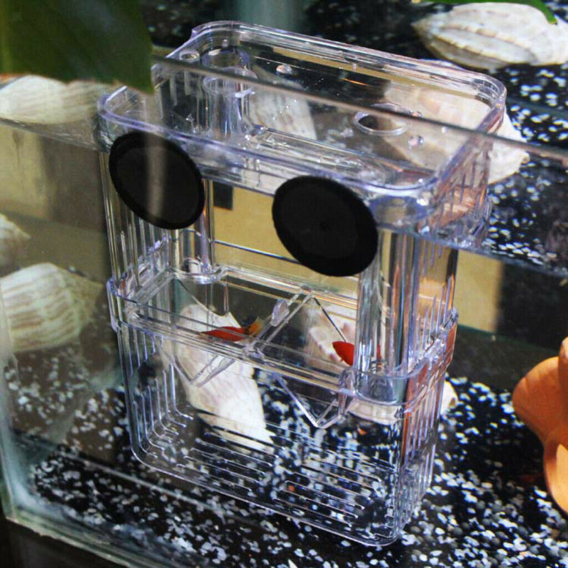 2xAquarium Fish Breeding Box Fry Trap Hatchery Floating Breeder Nursery Box