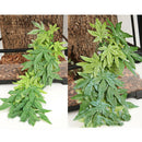 3 Pieces Plastic Reptile Plants Vine Jungle - Decorative Ornament for Reptiles