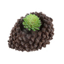 Artificial Flower Mini Grass Lotus Succulent Plant Fairy Yard Decor