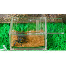 Reptile Breeding Box Tank Amphibian Vivarium Terrarium Turtle Spider
