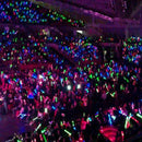 Changeable Light Up Foam Sticks LED Wands Rally Rave Batons Flashing Glow S H2B2