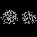 2 Packs Dental Temporary Crown Material For Anterior + Molar Teeth Veneers Ew