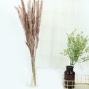 15Pcs Natural Dried Pampas Grass Reed Flower Bunch Wedding Bouquet Decors