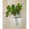 6-Packs Self Watering Hanging Planter Colorful Flower Pot for Home - S