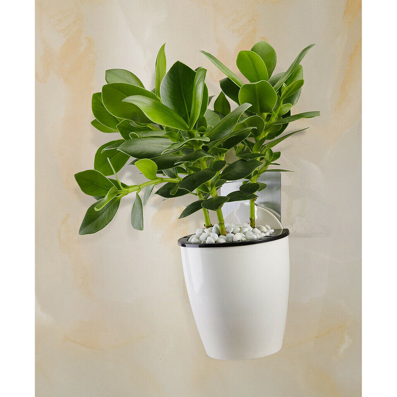 6-Packs Self Watering Hanging Planter Colorful Flower Pot for Home - S