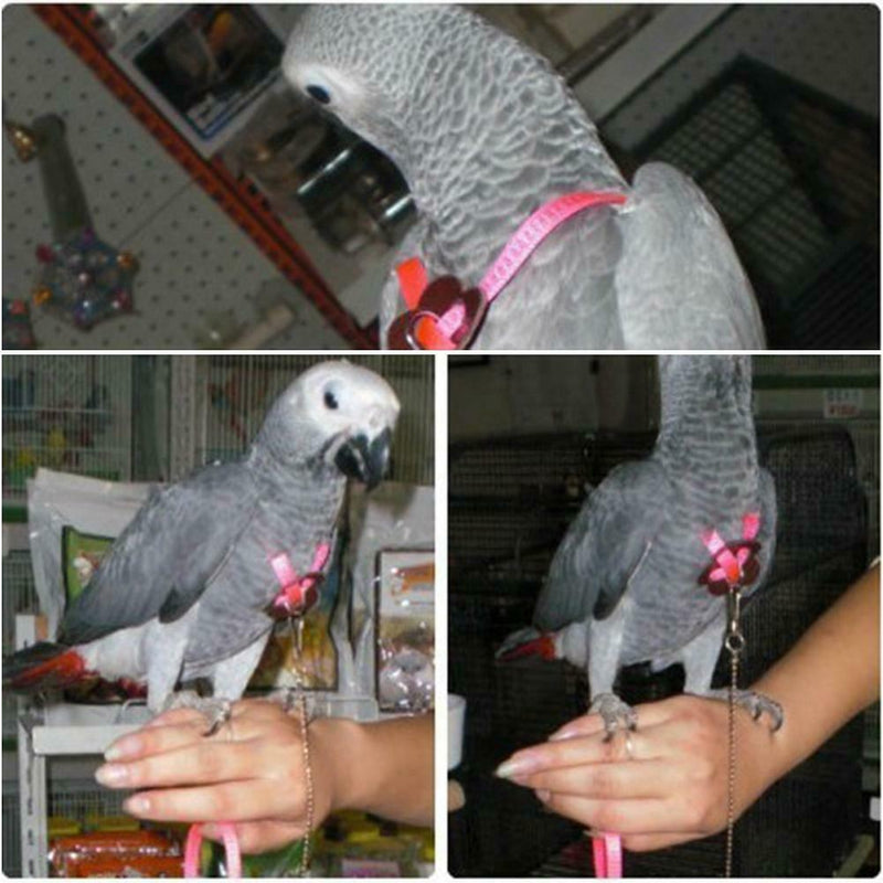 Bird Parrot Adjustable Harness & Leash Anti-bite Multicolor Light Soft