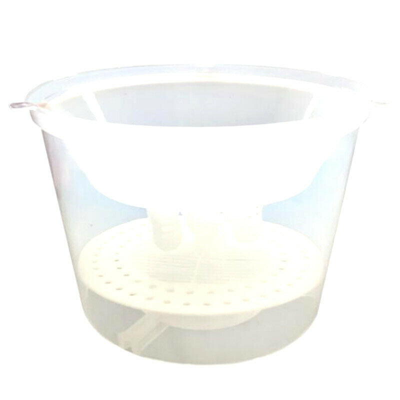 Bee Tools Hornet Trapper Fly Bug Catching Traps Wasp Catcher Hanging On Tre