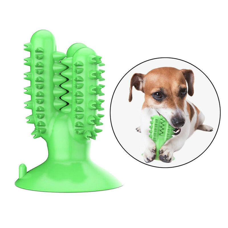 3Pieces Dog Chew Toys Teeth Cleaning Toothbrush Safe for Medium Large Dog