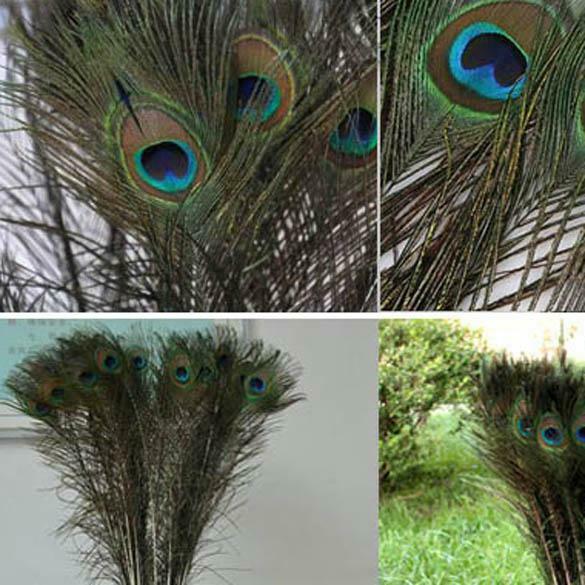 DIY 10 Peacock Eye Tail Feather For Masquerade Decoration Party  New