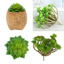 2pcs Artificial Plastic Simulation Succulent Plants Micro Landscape Decor
