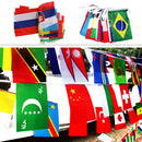 100 pcs Countries String Flag 25M International World bar party Banner BuntingOZ