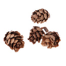 Mini Small Natural Dried Pine Cones Acorns Ornaments In Bulk Dried Flowers for