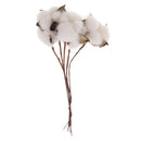 5Pc 12" Dried Flowers Natural Cotton Stems for Home Wedding Party Decoration
