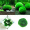 Marimo Ball Live Algae Aquarium Plant Fish Tank Landscape Ornament 3-4c ZGE