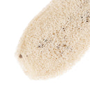Natural unprocessed luffa Loofah Antibacterial Loofah bath body scrub   Z