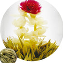 Hot Stylish Special Balls Handmade Blooming Flower Green Tea Gift Pop
