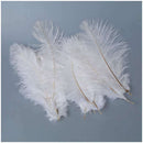 10 Pieces White Natural Ostrich Feather 20-25cm Wedding DIY R6E3