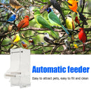 Pet Parrot Automatic Transparent Feeder Birds Splash-proof Food Dispenser