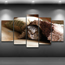 5 Panel  Wall Art Scenic Picture Paint Printed on Canvas Pet Cat