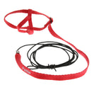2 Pcs Parrot  Suit Leash Outdoor Adjustable Training Rope Black + Red