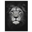 5D Diamond Embroidery Animal Lion Diy Diamond Painting Cross Stitch Full Sq