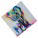 Home Wall Art Picture Canvas Print Picture  Decor (50 x50cm,Multicolor) F8W1