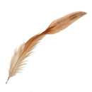 Natural cock feather cock Decoration - Ideal for costumes, hats, interior d R9B7