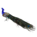 Vivid Artificial Peacock Bird Realistic Taxidermy Home Garden Yard