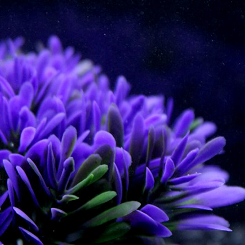 Purple Aquarium Fish Tank Decoration Underwater Water Plant Ornament Decor New.