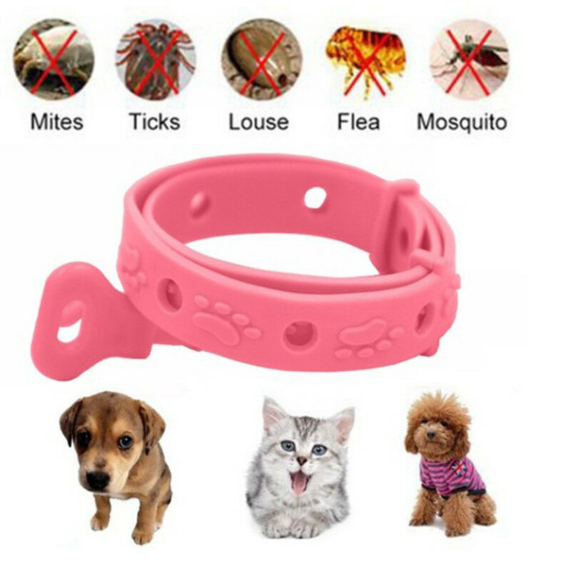 Dog Kitten Adjustable Pet Collar Neck Strap Remedy Anti Flea Mite Acari Tick  3C