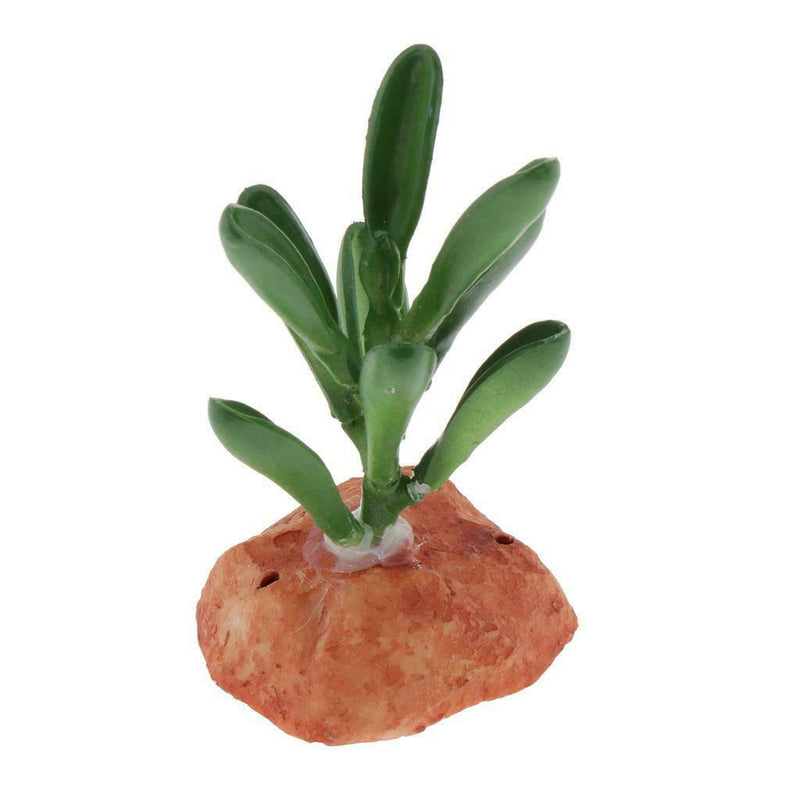 6PCS Aquarium Fish Tank Plants Succulents Reptile Hideaway Decoration - Reptile