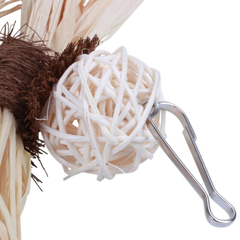 Pet Parrot Conure Cockatiel Parakeet Budgie Bird Chew Bites Swing Cages ToysR7M6