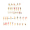 40x HO Gauge Painted 1:100 Peoples Passenger Set Scenery Landscape Decor