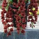 100 PCS Chinese Cymbidium Orchid Indoor Potted Flowers Orchid Cicada Q2Z1 S Q5T5