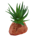 2Pieces Aquarium Fish Tank Landscaping