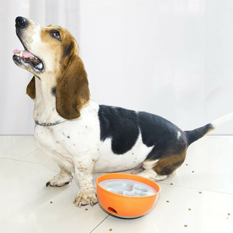 Bowl Puzzle Feeder Dog Bowl - Interactive Enrichment Dog Dish - Slow Feeder