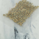 100pcs Lemon Grass Seeds An essential flavouring in East Asian cooking LY