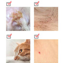 Flea & Tick Collar for Cats and Dogs Repels Fleas,Tick Cat Flea  Tick Collar