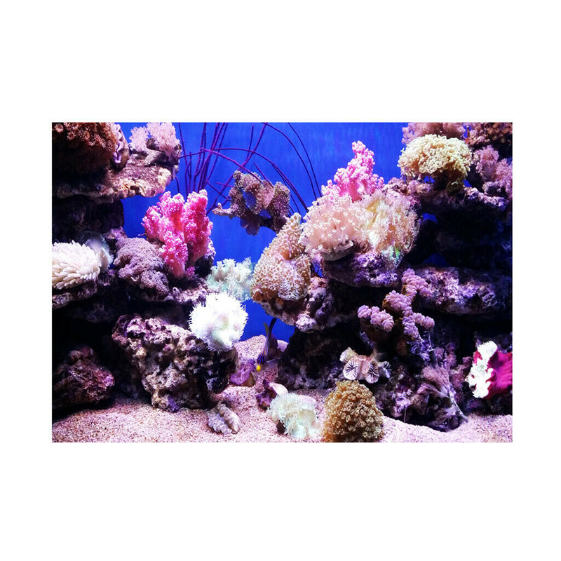 Vivid Aquarium Undersea Background, Non-toxic Adhesive Poster Fish Tank Decor