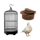 10x Small Hamster For Chewing Animals Mat Rabbit Guinea Pig Pigeon House Pad