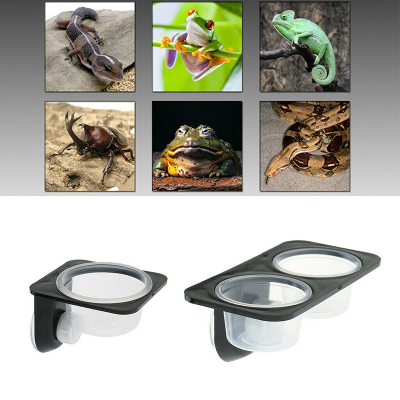 3Pcs Dual + Single Reptile Feeding Food Water Bowl with Suction Cup for Worm