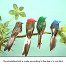 8pcs Simulation Birds Color Foam Feather Clip DIY Craft Wedding Home Decor