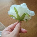 10PCS Artificial Flowers Head 10 cm For Wedding Decoration DIY Wreath Gift  O6S2