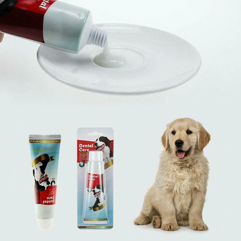 All-Natural Toothpaste For Dogs Cats Best Solution For Bad Breath Control