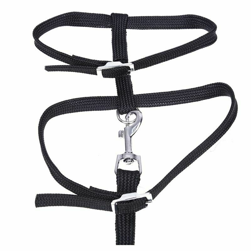 Leash collar + ADJUSTABLE NYLON HARNESS FOR CAT KITTEN Length 1.2m - Black