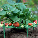 Strawberry Stand Holder Balcony Planting Rack Fruit Flower Climbing Vine Gar Gw